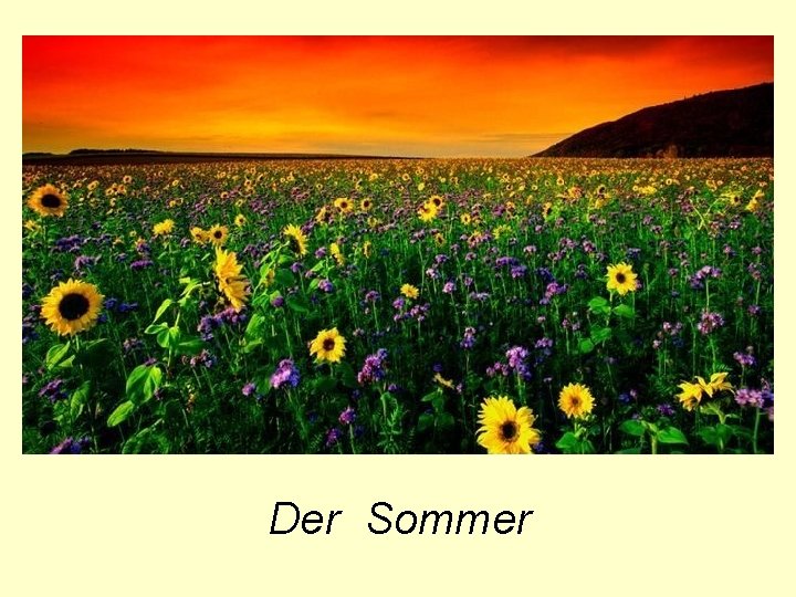 Der Sommer 