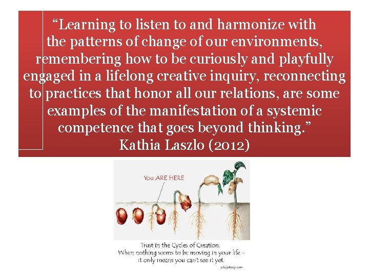 “Learning to listen to and harmonize with the patterns of change of our environments,