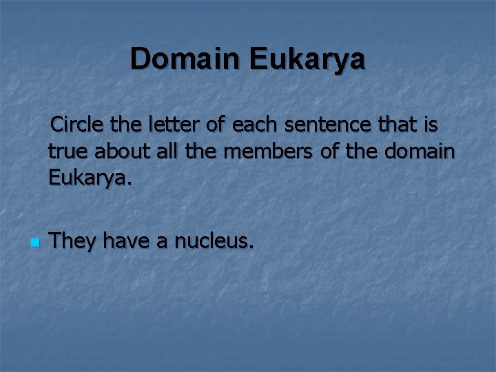 Domain Eukarya Circle the letter of each sentence that is true about all the