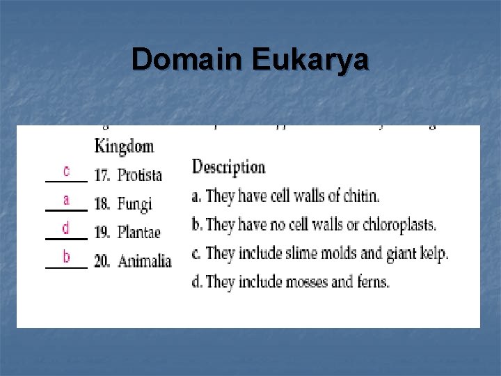 Domain Eukarya 