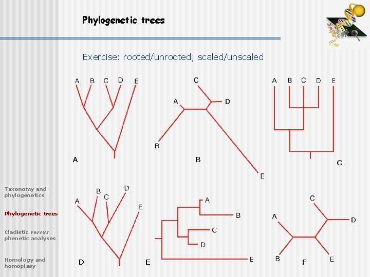 Phylogenetic trees Exercise: rooted/unrooted; scaled/unscaled A B C Taxonomy and phylogenetics Phylogenetic trees Cladistic