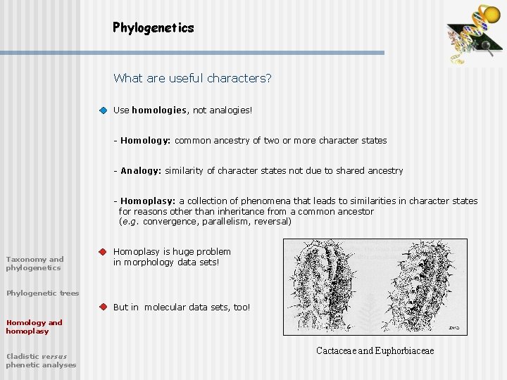 Phylogenetics What are useful characters? Use homologies, not analogies! - Homology: common ancestry of
