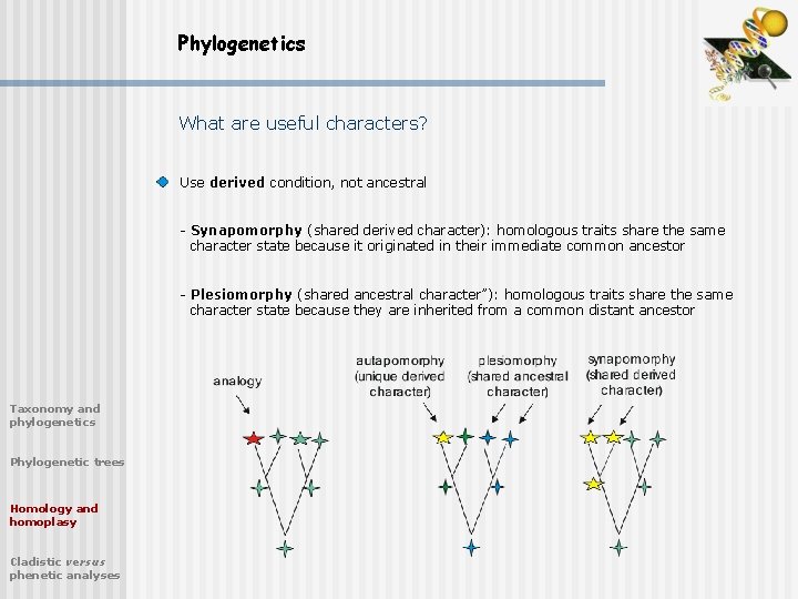 Phylogenetics What are useful characters? Use derived condition, not ancestral - Synapomorphy (shared derived