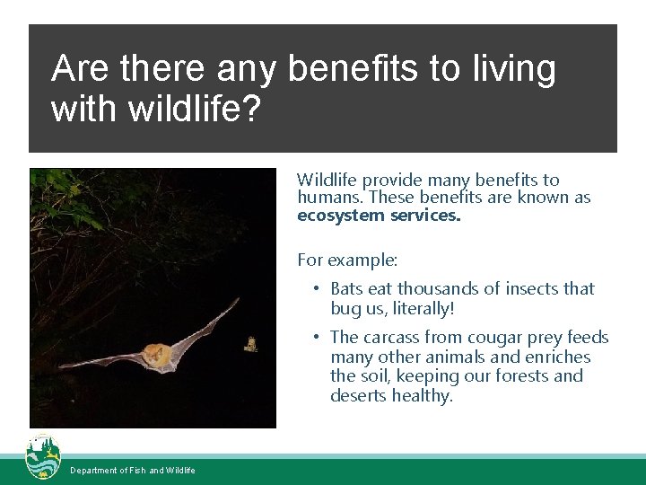 Are there any benefits to living with wildlife? Wildlife provide many benefits to humans.