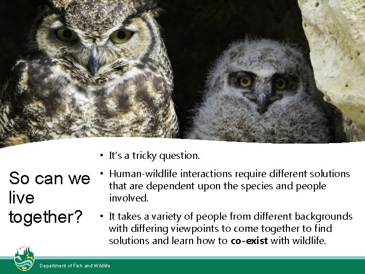  • It’s a tricky question. So can we live together? • Human-wildlife interactions