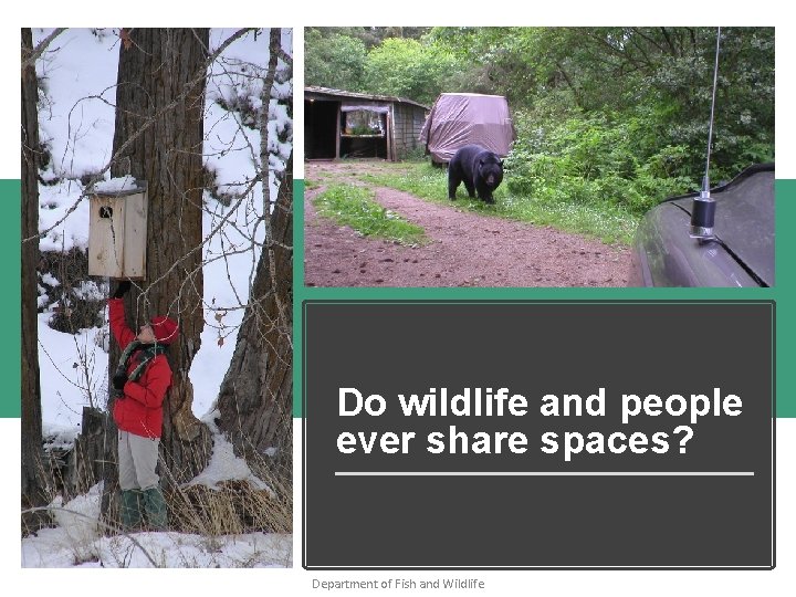 Do wildlife and people ever share spaces? Department of Fish and Wildlife Do wildlife and people ever share spaces? Department of Fish and Wildlife