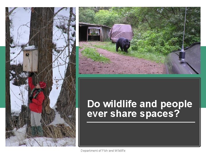 Do wildlife and people ever share spaces? Department of Fish and Wildlife 