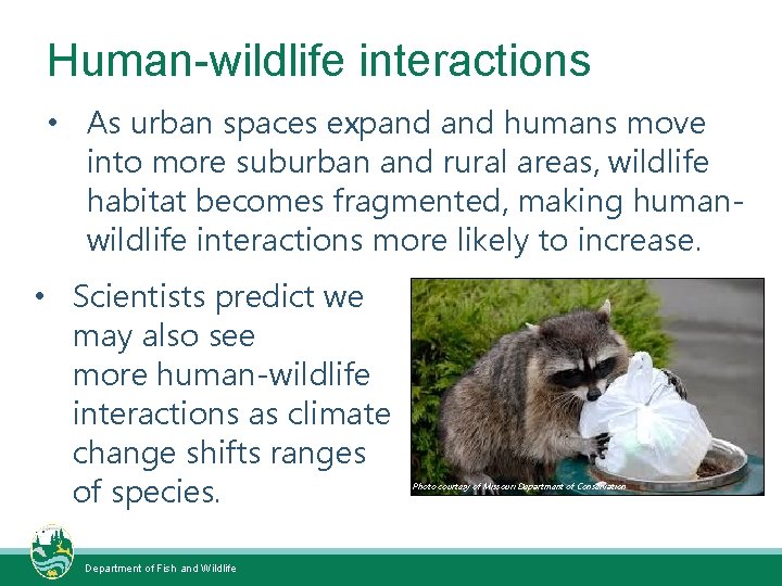 Human-wildlife interactions • As urban spaces expand humans move into more suburban and rural