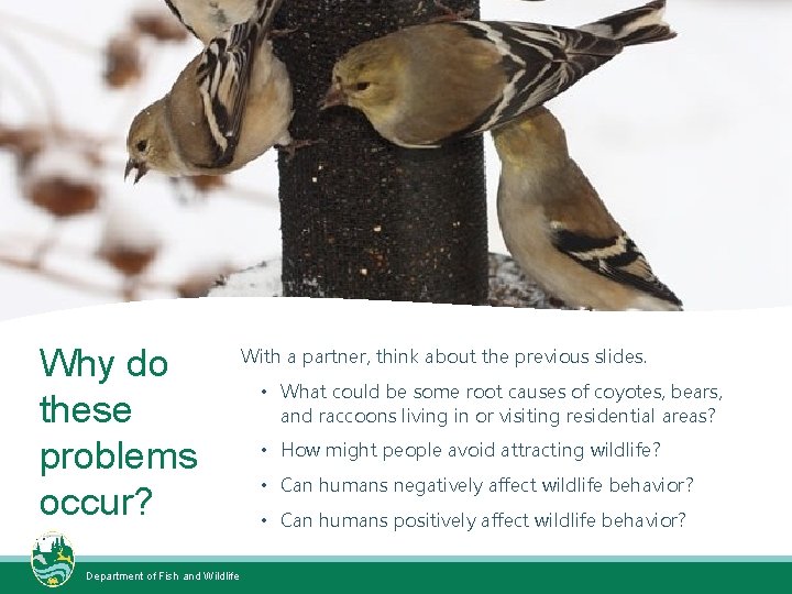 Why do these problems occur? Department of Fish and Wildlife With a partner, think Why do these problems occur? Department of Fish and Wildlife With a partner, think