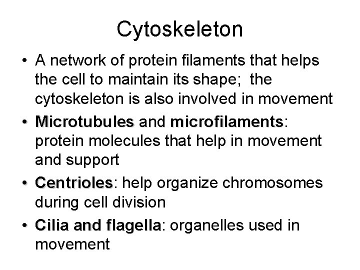 Cytoskeleton • A network of protein filaments that helps the cell to maintain its