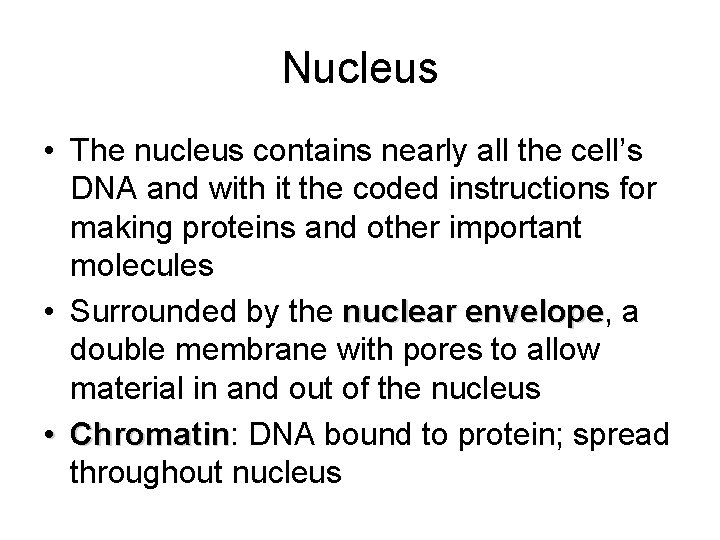 Nucleus • The nucleus contains nearly all the cell’s DNA and with it the