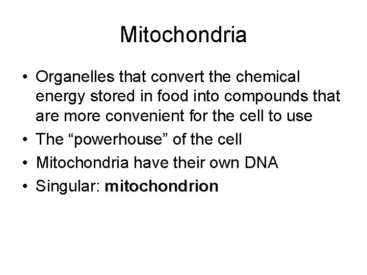 Mitochondria • Organelles that convert the chemical energy stored in food into compounds that