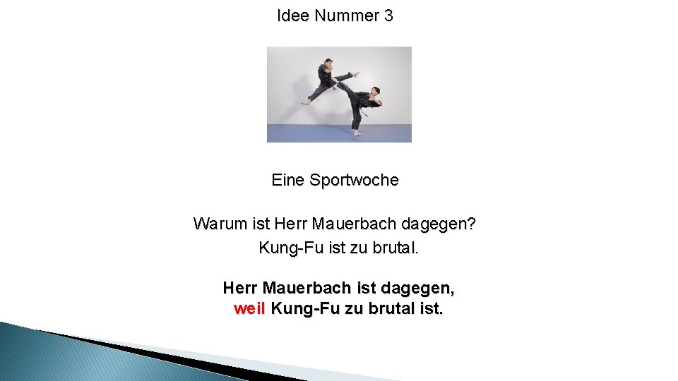 Idee Nummer 3 Eine Sportwoche Warum ist Herr Mauerbach dagegen? Kung-Fu ist zu brutal.