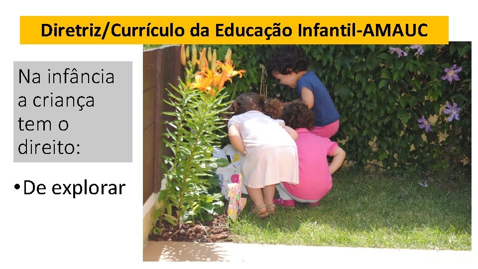 Diretriz/Currículo da Educação Infantil-AMAUC Na infância a criança tem o direito: • De explorar