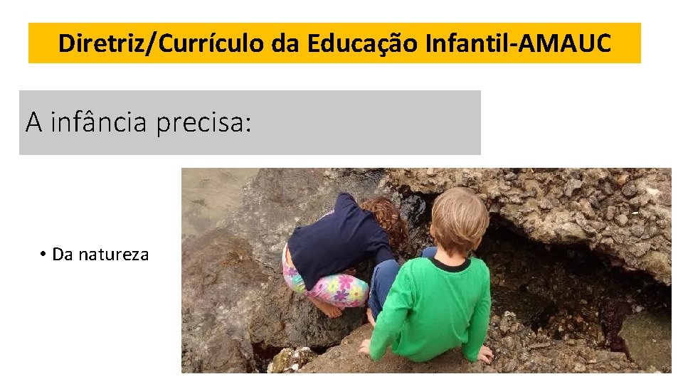 Diretriz/Currículo da Educação Infantil-AMAUC A infância precisa: • Da natureza 