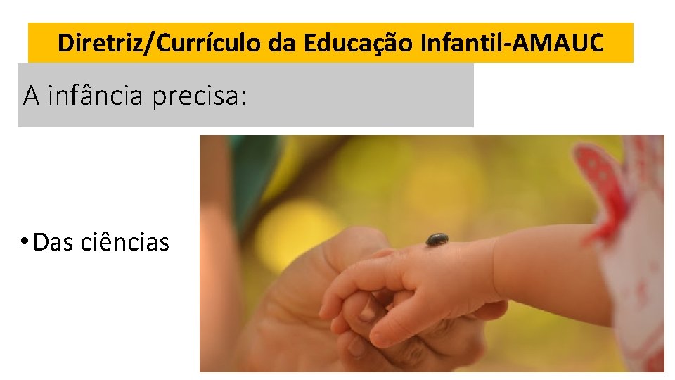 Diretriz/Currículo da Educação Infantil-AMAUC A infância precisa: • Das ciências 