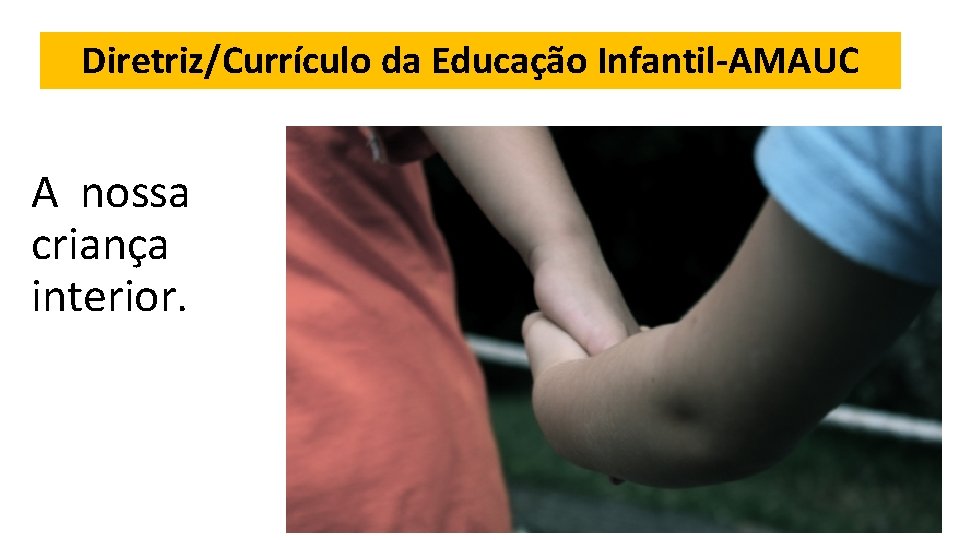 Diretriz/Currículo da Educação Infantil-AMAUC A nossa criança interior. 