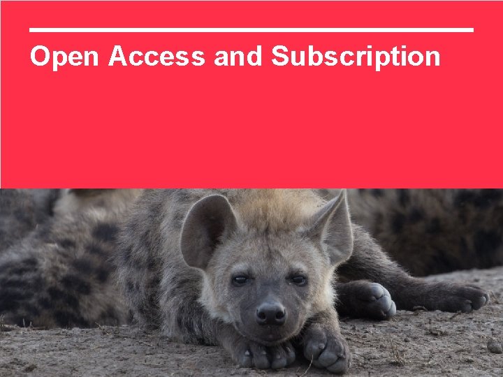 Open Access and Subscription 