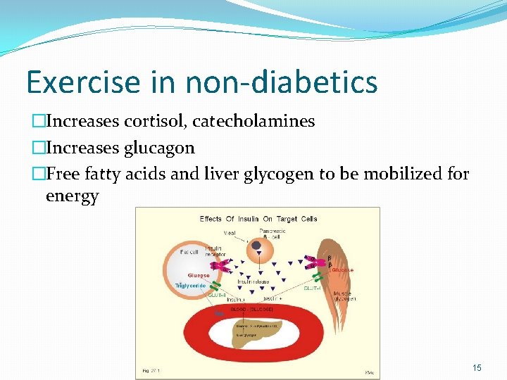 Exercise in non-diabetics �Increases cortisol, catecholamines �Increases glucagon �Free fatty acids and liver glycogen