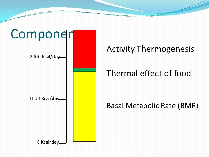 Components 2000 Kcal/day Activity Thermogenesis Thermal effect of food 1000 Kcal/day Basal Metabolic Rate