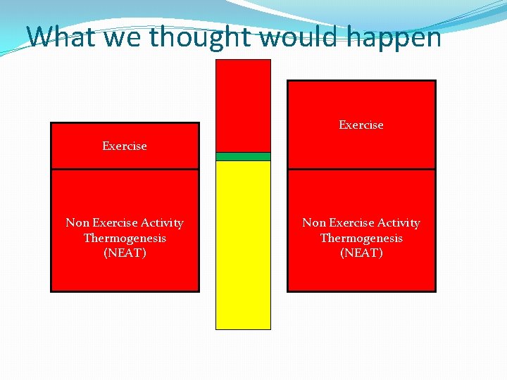 What we thought would happen Exercise Non Exercise Activity Thermogenesis (NEAT) 