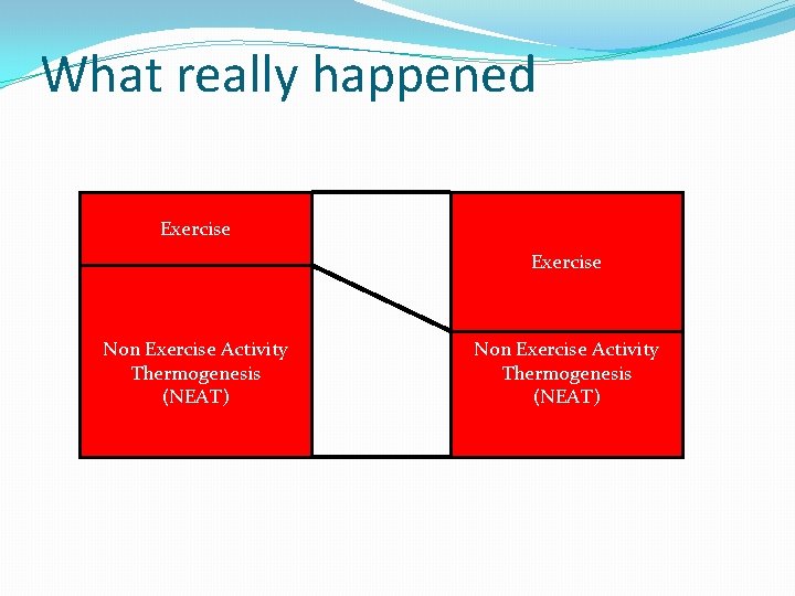 What really happened Exercise Non Exercise Activity Thermogenesis (NEAT) 