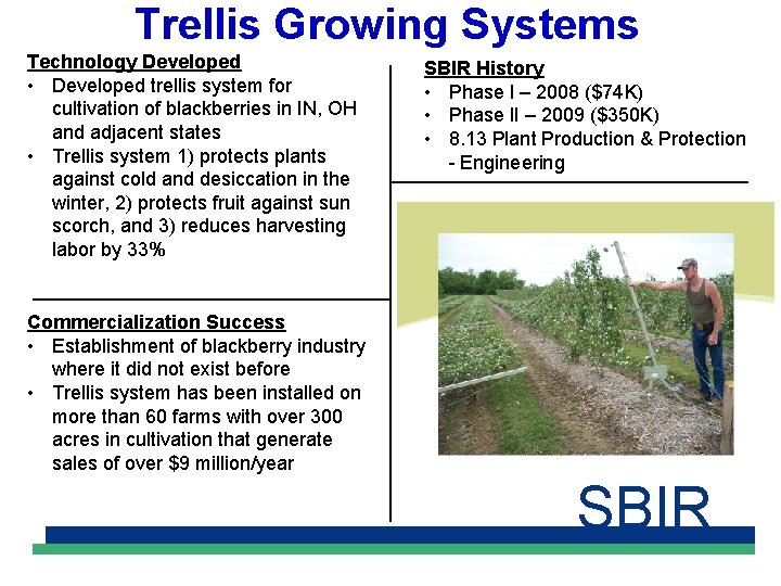 Trellis Growing Systems Technology Developed • Developed trellis system for cultivation of blackberries in