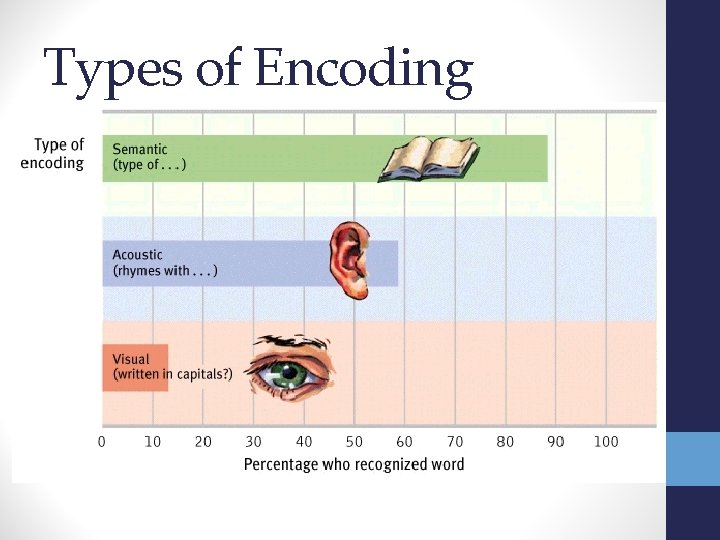 Types of Encoding 