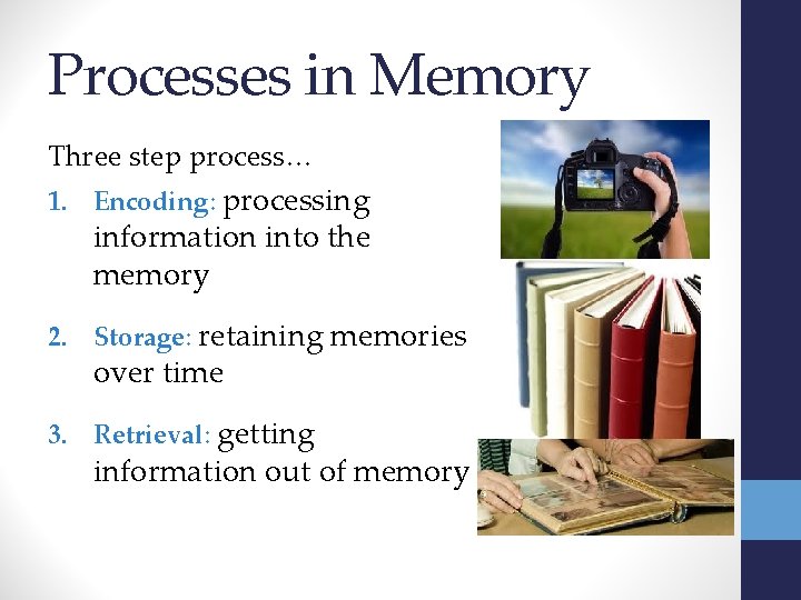 Processes in Memory Three step process… 1. Encoding: processing information into the memory 2.