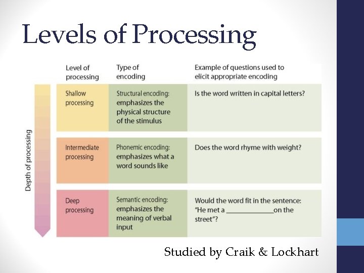 Levels of Processing Studied by Craik & Lockhart 