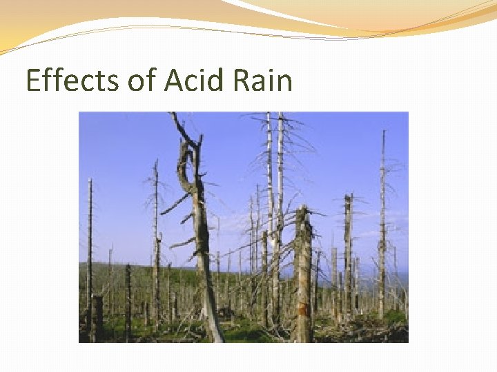 Effects of Acid Rain 