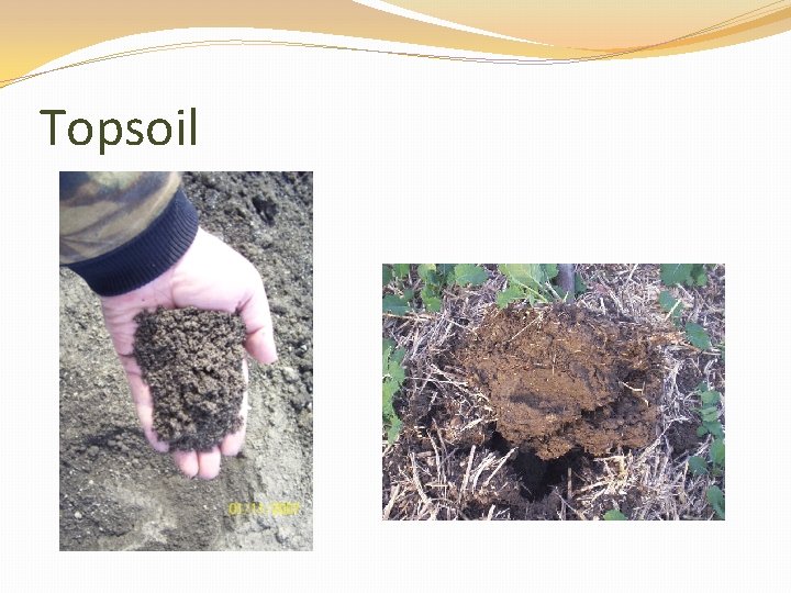 Topsoil 