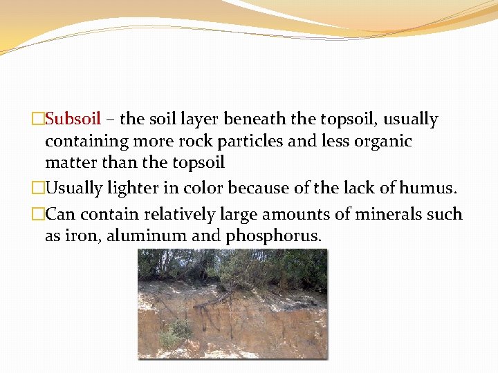 �Subsoil – the soil layer beneath the topsoil, usually containing more rock particles and