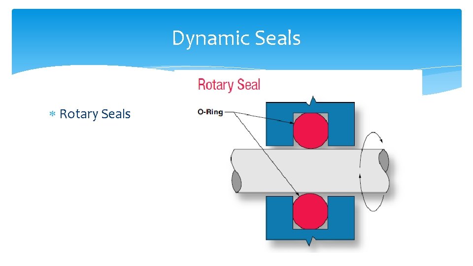Dynamic Seals Rotary Seals 