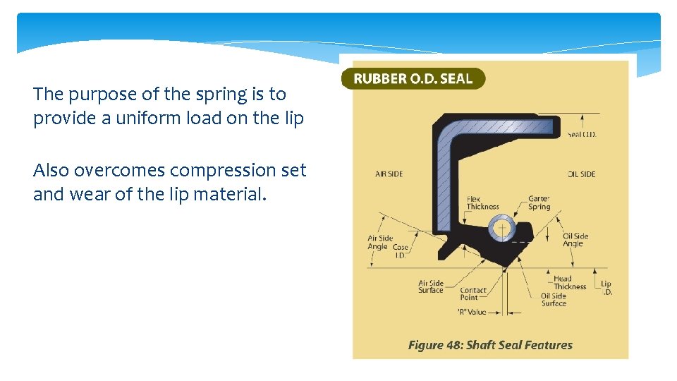 The purpose of the spring is to provide a uniform load on the lip