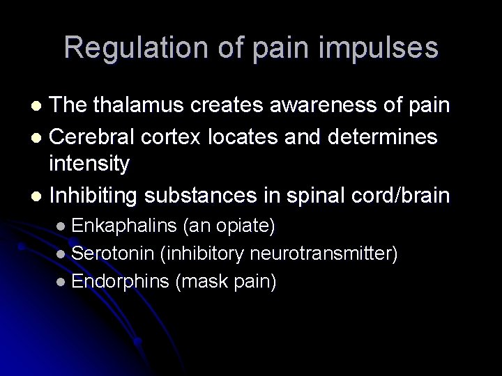 Regulation of pain impulses The thalamus creates awareness of pain l Cerebral cortex locates
