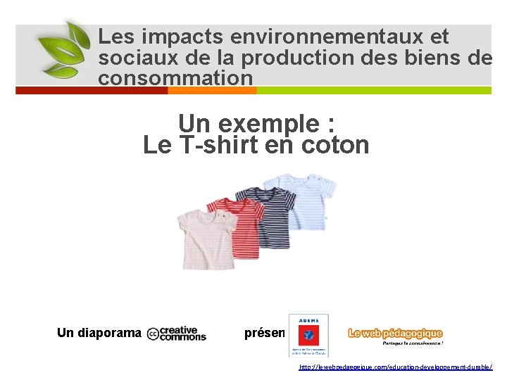 Les impacts environnementaux et sociaux de la production des biens de consommation Un exemple