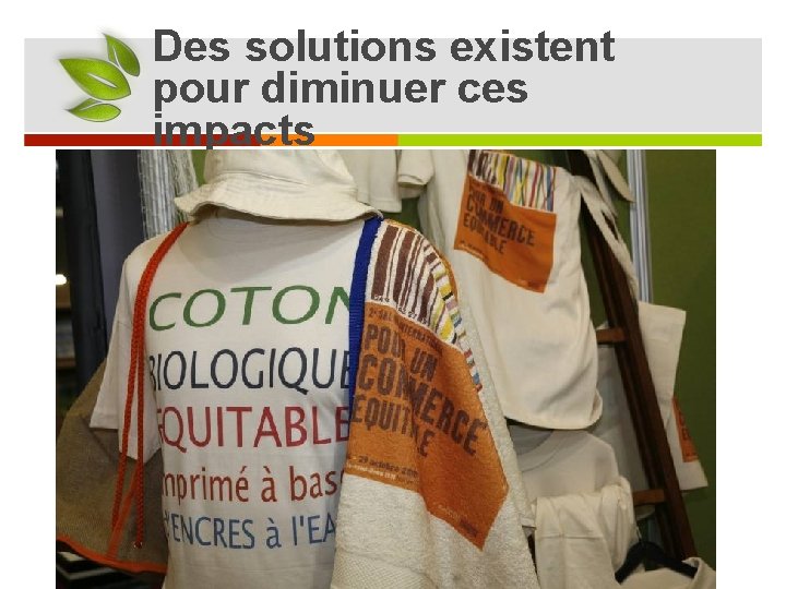 Des solutions existent pour diminuer ces impacts Le T-shirt en coton bio et équitable