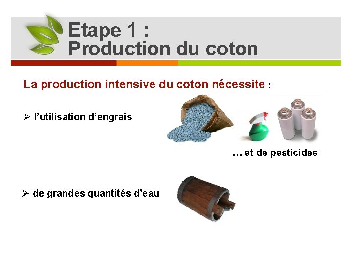 Etape 1 : Production du coton La production intensive du coton nécessite : Ø