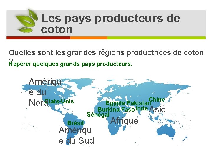 Les pays producteurs de coton Quelles sont les grandes régions productrices de coton ?