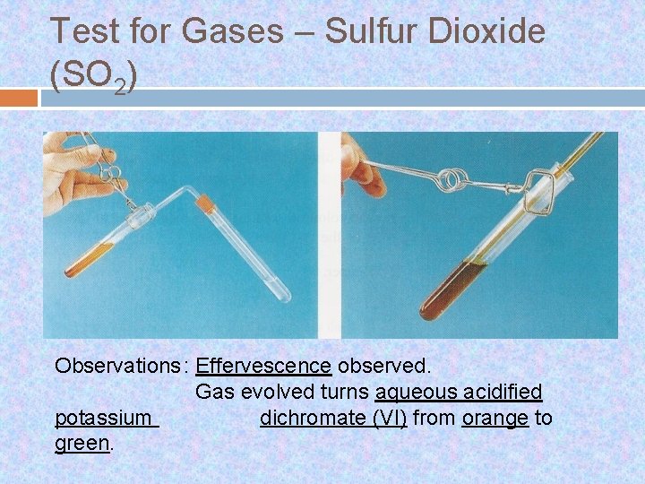 Test for Gases – Sulfur Dioxide (SO 2) Observations : Effervescence observed. Gas evolved