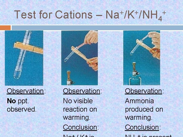 Test for Cations – Na+/K+/NH 4+ Observation: No ppt. observed. Observation: No visible reaction