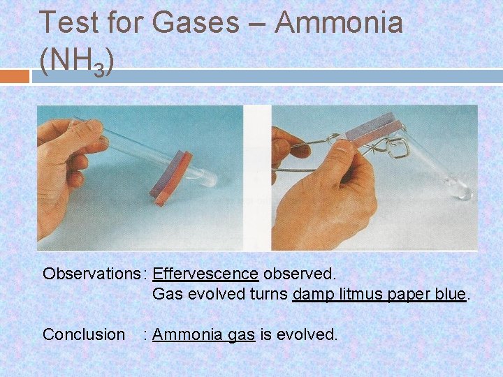 Test for Gases – Ammonia (NH 3) Observations : Effervescence observed. Gas evolved turns