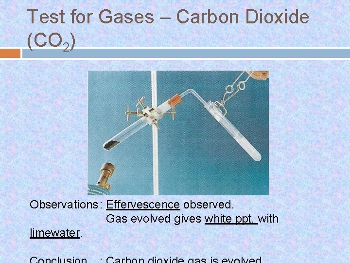 Test for Gases – Carbon Dioxide (CO 2) Observations : Effervescence observed. Gas evolved