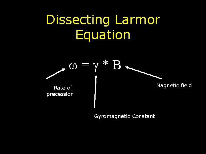 Dissecting Larmor Equation = * B Magnetic field Rate of precession Gyromagnetic Constant 