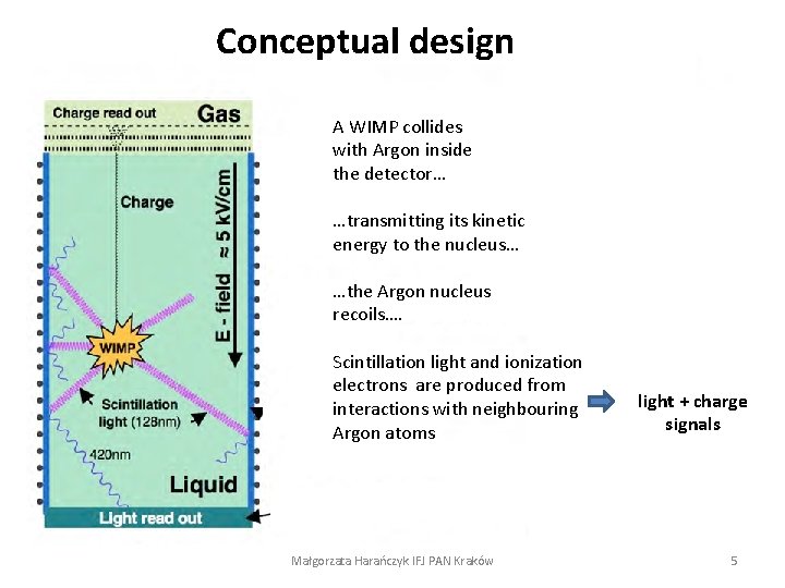 Conceptual design A WIMP collides with Argon inside the detector… …transmitting its kinetic energy
