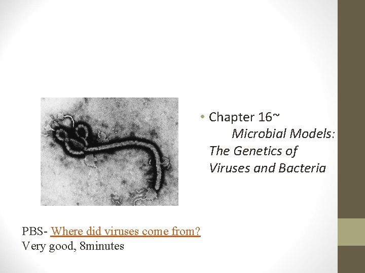  • Chapter 16~ Microbial Models: The Genetics of Viruses and Bacteria PBS- Where