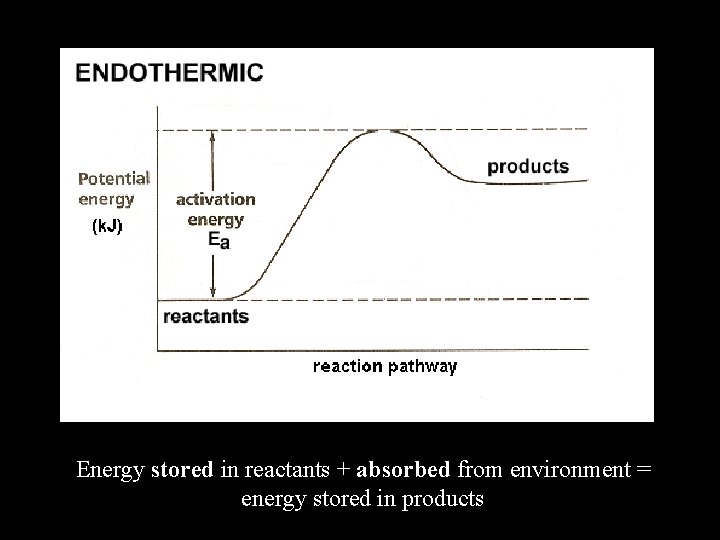 Energy stored in reactants + absorbed from environment = energy stored in products 