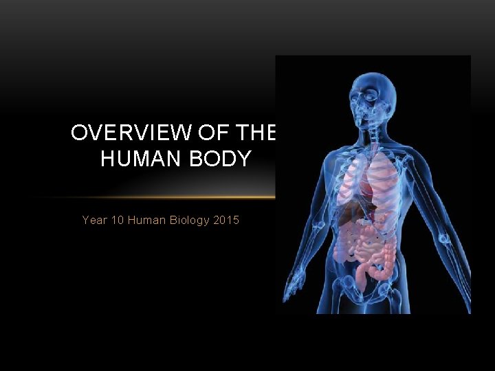 OVERVIEW OF THE HUMAN BODY Year 10 Human Biology 2015 