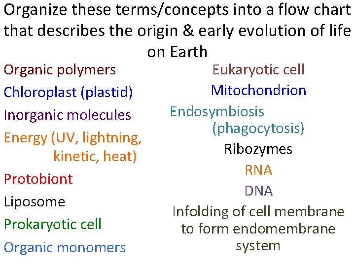 Organize these terms/concepts into a flow chart that describes the origin & early evolution